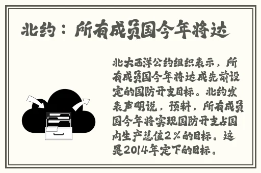 雷电将军的娴熟腿法图片